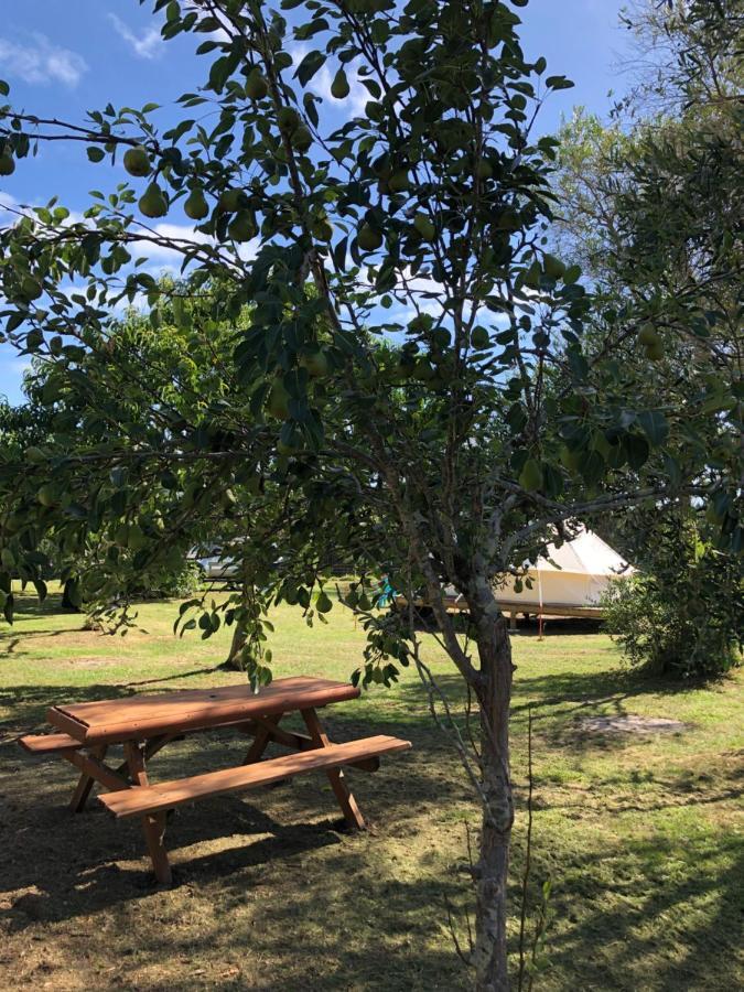 Kai Iwi Lakes Resort Kaihu 외부 사진